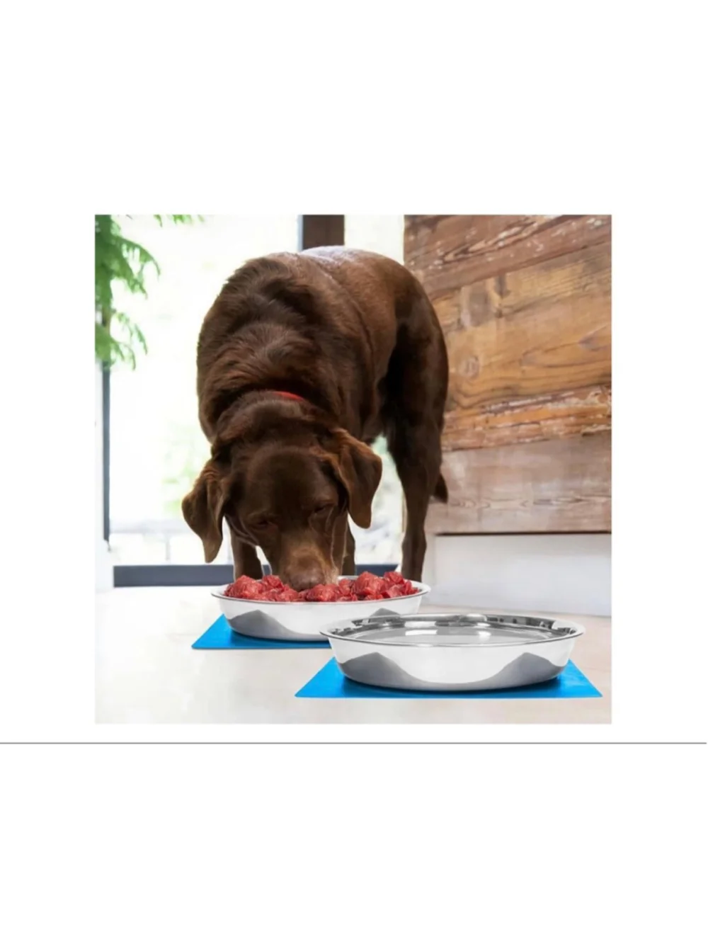 NEW Shallow Dog Food Bowls Non Slip Food Grade Stainless Steel Large Dogs 8 Cups